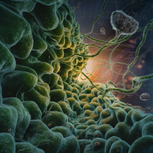 How Intestinal Mucus Is Changing the Face of Medical Research